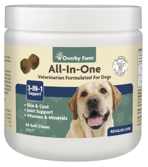All-In-One